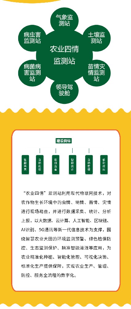 苗情智慧监测系统的应用前景与实际价值深度剖析