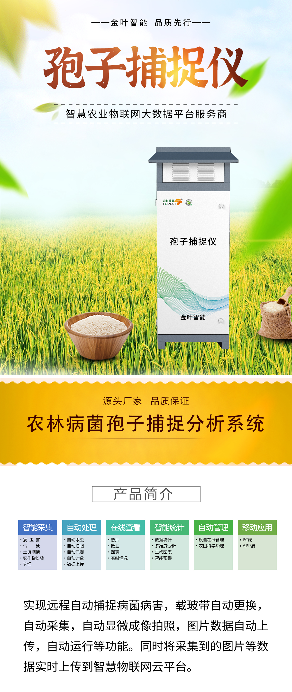 1760597874339721.jpg b_01.jpg