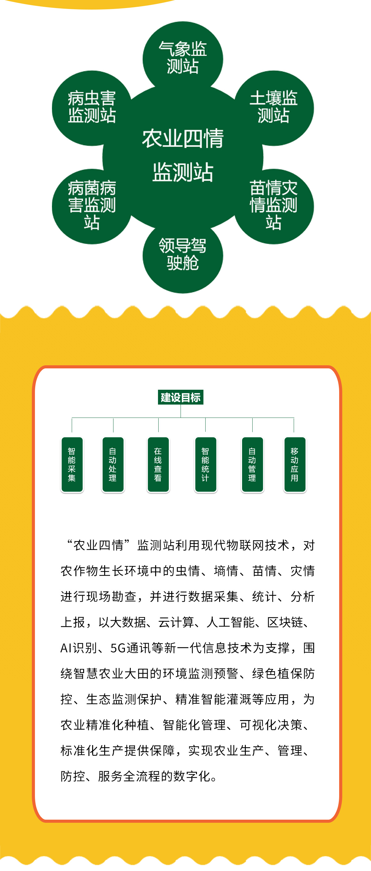 1761030243103011.jpg m_03.jpg