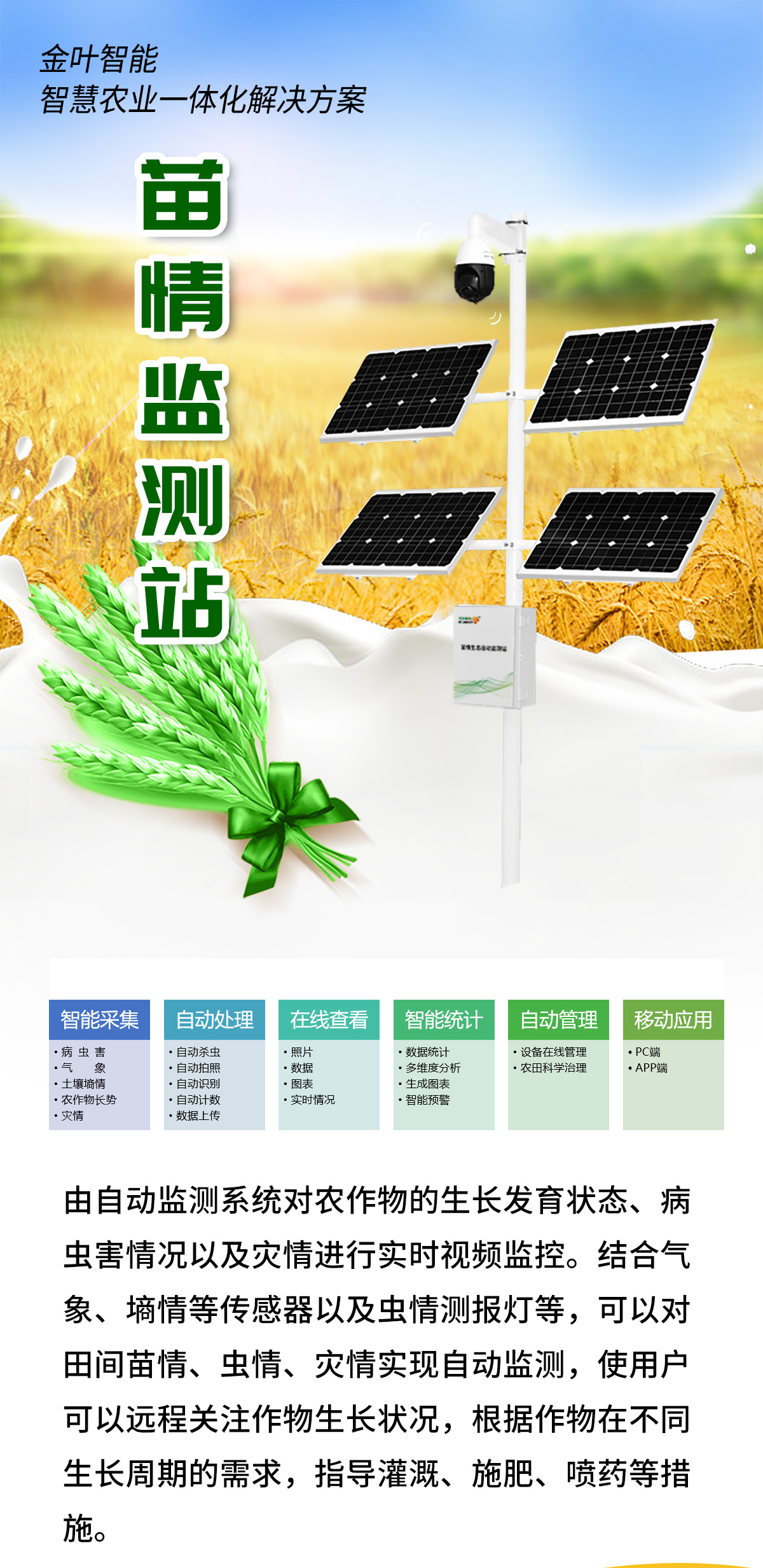 1761289069211583.jpg m_01.jpg